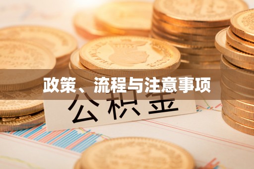 西港政策、流程与注意事项