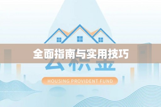 西港全面指南与实用技巧