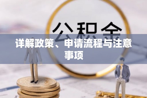 西港详解政策、申请流程与注意事项